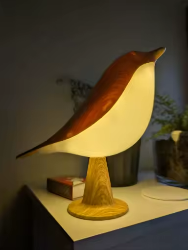 Svala oikeissa kodeissa