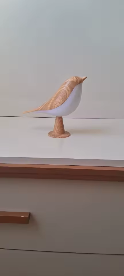 Svala oikeissa kodeissa